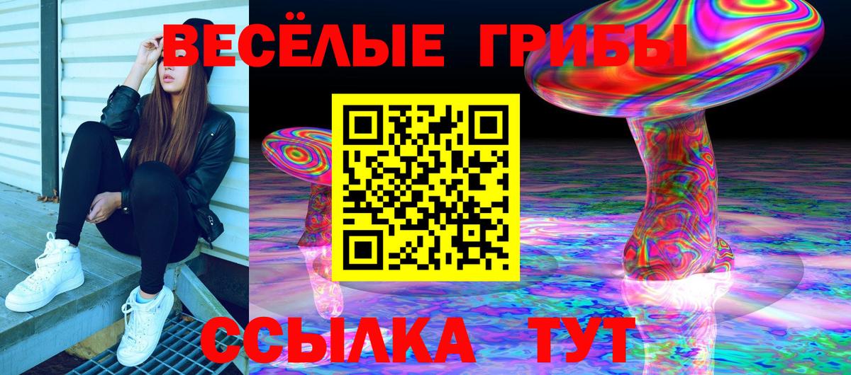 Ишим  Псилоцибиновые грибы Cubensis  Галлюциногенные грибы Magic Shrooms  Вход с VPN 